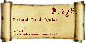 Molcsán Ágota névjegykártya
